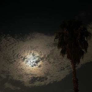 Dont forget about me (Explicit)