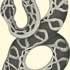 Abstract human - Ego