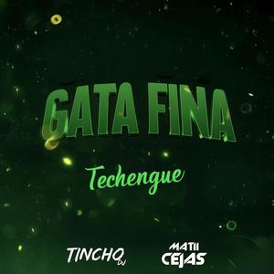 GATA FINA (TECHENGUE) (feat. Mati Cejas) (TINCHO DJ)