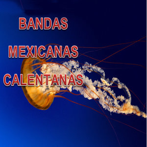 Bandas Mexicanas Calentanas