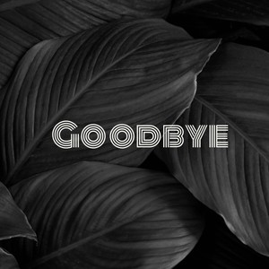 Goodbye