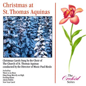 Christmas At St. Thomas Aquinas