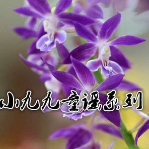 小九九童谣系列六