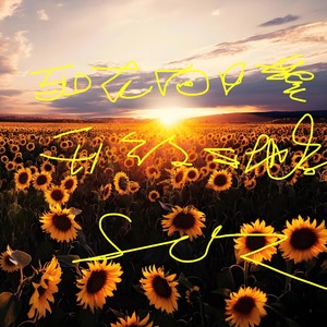 死在向日葵开放的地方