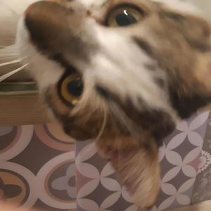 dgksghkfkdfpierere (Explicit)