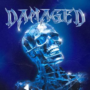 damaged (feat. familypet)