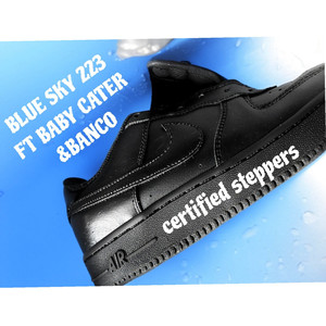 Certified Steppers (Explicit)