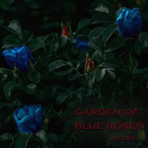 Garden of Blue Roses