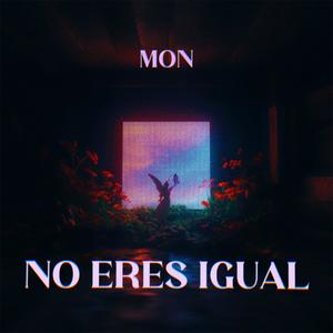 NO ERES IGUAL