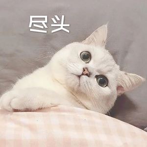 麻雀 (DJ经典版)