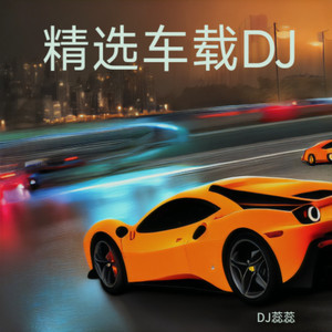 踏浪 (DJ蕊蕊 remix)