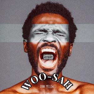 Woo SAH (Explicit)