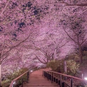 NICE TO MEET YA (feat. Ola Runt) (Explicit)