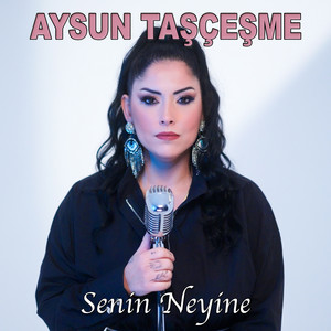 Senin Neyine