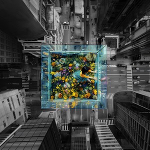 urbanbloom (feat. seoseo)