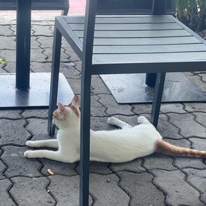 我要你