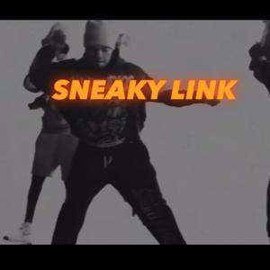 Sneaky Link (feat. LiL BooG) [Explicit]