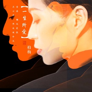 一生所爱