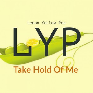 Take Hold Of Me (Original Mix)