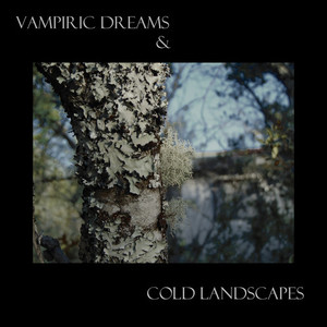 Vampiric Dreams & Cold Landscapes