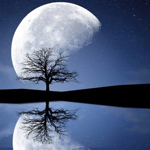 Howlin' At the Moon(feat. Catriona Fray, Bella Hicks, Isaac Mailach, Kyle Fitz & Danny Pravder)