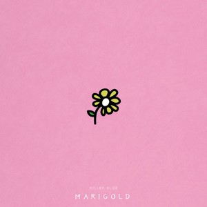 Marigold