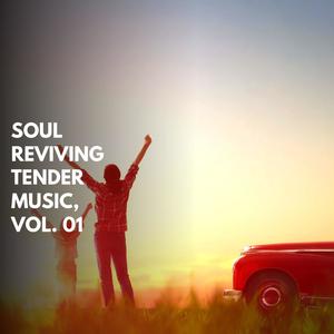 The Joy Rider (Original Mix)