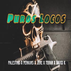 Puro loco (feat. David k, Jere, Palestino & Teran)