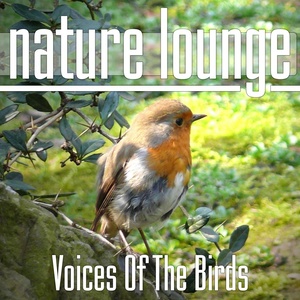 Nature Lounge Club - Land Of The Rainbow