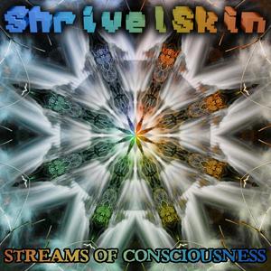 Streams of Consciousness