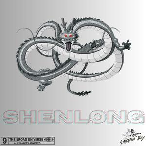 SHENLONG (Explicit)