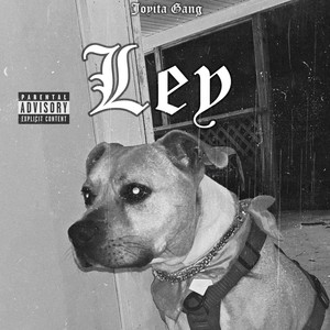 Ley (Explicit)