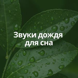 Звуки дождя для сна