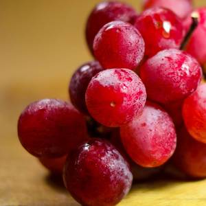 GRAPES OF HUMAN NATURE (Explicit)