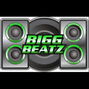 Bigg Beatz Muzic (Explicit)