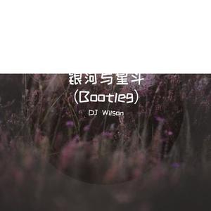 银河与星斗（Bootleg）