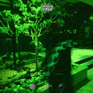 Shapeshiftin' (Explicit)