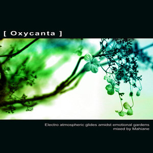 [ Oxycanta ]