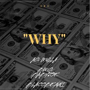 WHY (Explicit)