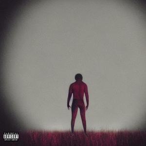 Sleepless Knights (Explicit)