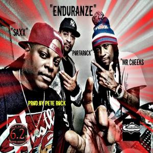 Enduranze (feat. Portarock & Mr. Cheeks) [Explicit]