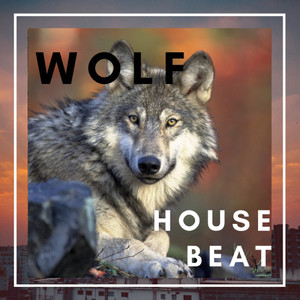 WOLF HOUSE BEAT