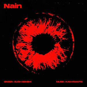 Nain (feat. Kam Frantic)