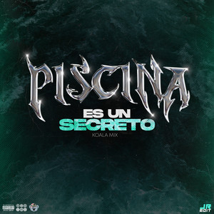 Piscina X Es Un Secreto (Remix)