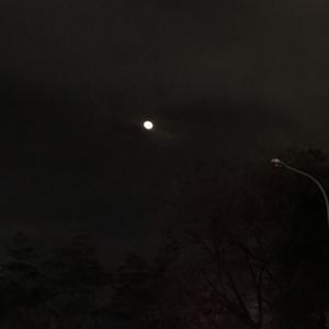 the day before i goͧ