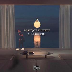 Wish You The Best (Explicit)