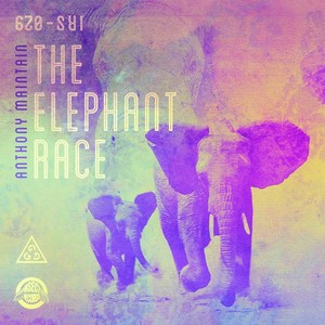 The Elephant Race