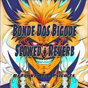 Bonde Dos Bigode (Slowed + Reverb) [Explicit]