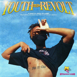 Youth in Revolt (feat. Medici) [Explicit]