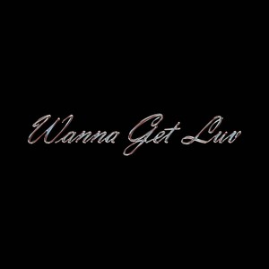 Wanna Get Luv (Explicit)